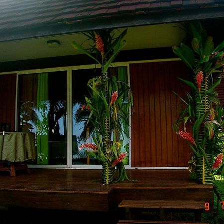 Tauhanihani Village Lodge La Vague Bleue Teahupoo 外观 照片