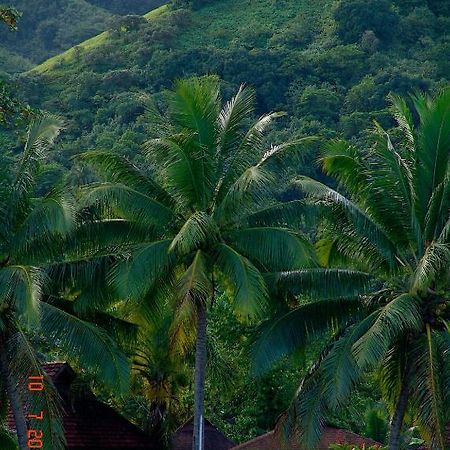 Tauhanihani Village Lodge La Vague Bleue Teahupoo 外观 照片